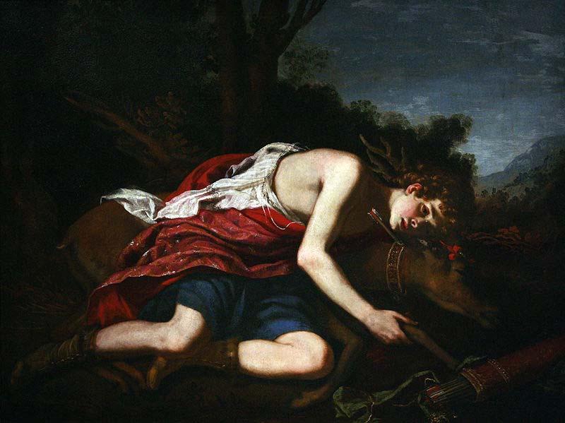 unknow artist Cyparissus, Jacopo Vignali oil painting image